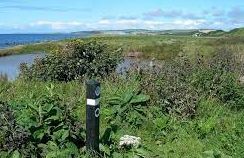 Corrie Coastal Path - Isle of Arran