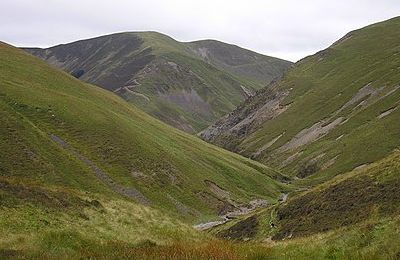 Croft Head - Hawick