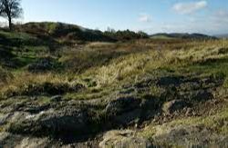 Croy Hill, (HES) - Antonine Wall