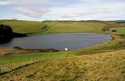 Essenside Loch - Ashkirk