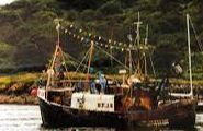 Fish Festival - Stornoway