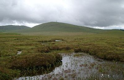 Forsinard Flows RSPB Nature Reserve