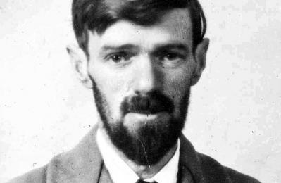 David Herbert Lawrence (D.H. Lawrence)