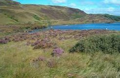 Loch Arail - Ardrishaig Loch Arail - Ardrishaig