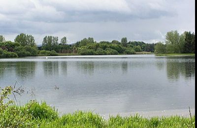 Loch of Forfar - Forfar