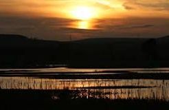 Loch of Kinnordy - Kirriemuir