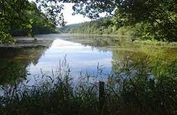 Loch Park (fishing) - Dufftown