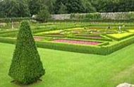 Pitmedden Garden, (NTS)