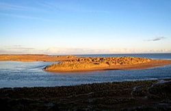 River Ythan - Ythanwells River Ythan - Ythanwells