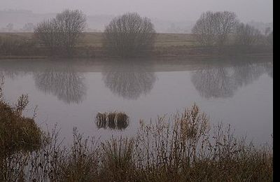 White Loch - Blairgowrie White Loch - Blairgowrie