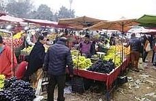 Caerphilly Farmers Market