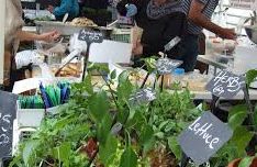 Cardiff Sunday Market