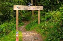 Gwydyr Forest Trail - Betws-y-Coed