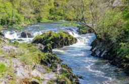 River Teifi - Cardigan River Teifi - Cardigan