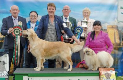 All Breed Championship Dog Show