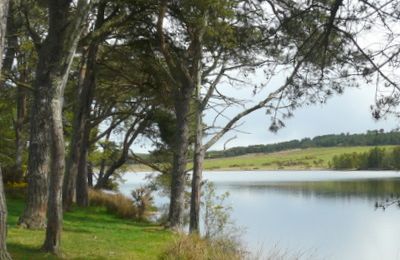 Bayfield Loch - Nigg