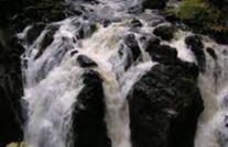 Black Linn of Blairvaich - Aberfoyle