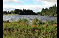 Crombie Country Park - Angus