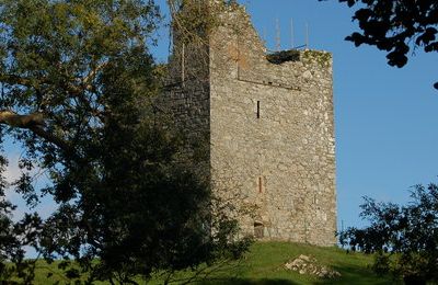 Audley's Castle - Strangford