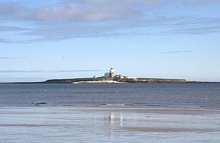Coquet Island (RSPB) - Amble