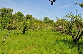 Aldeby - Norfolk