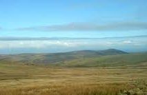 Preseli Hills - Newport
