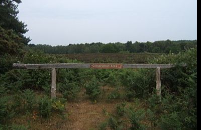 Aldringham - North Warren Nature Reserve