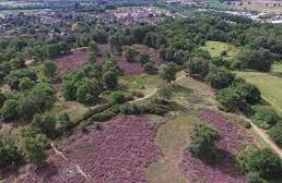Ampthill - Coopers Hill (SSSI)