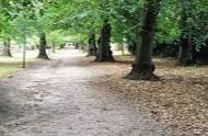 Ampthill - Town Trails