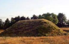Morborne - Bronze Age Burial Mounds  (HE)