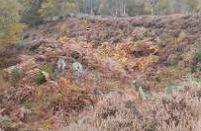 Caesar's Camp - Bracknell