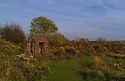 Caractacus Stone - Winsford (Somerset)