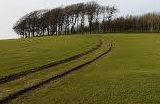 Chanctonbury Ring Hillfort, (HE)