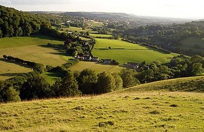 Elliot (Swift's Hill) Nature Reserve - Stroud Elliot (Swift's Hill) Nature Reserve - Stroud