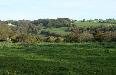Gatcombe Park - Minchinhampton Gatcombe Park - Minchinhampton