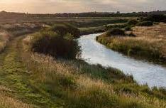 Little Wigborough - Copt Hill Marsh, (NT)