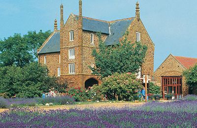 Heacham - Norfolk Lavender & Caley Mill (HE)